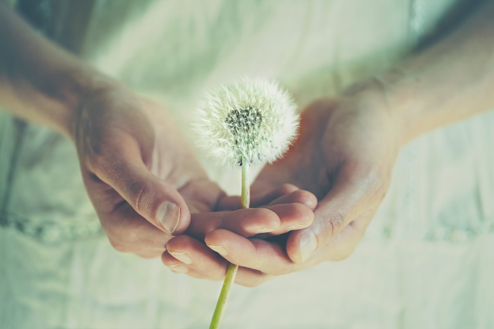 Mindfulness Avanzado Presencial (Mindfulness Barcelona)