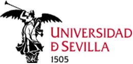 Máster Universitario en Psicología de las Organizaciones y del Trabajo (Universidad de Sevilla)