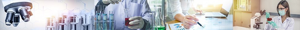 Maestría en Psicología Clínica
