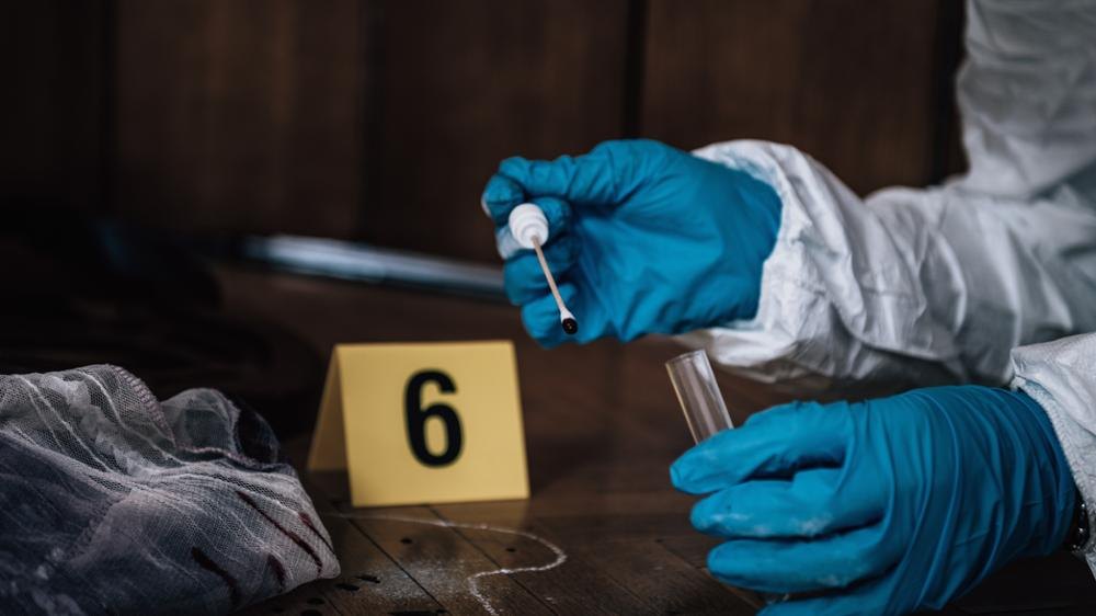 Máster de Formación Permanente en Ciencias Forenses en Psicología Forense y Penitenciaria