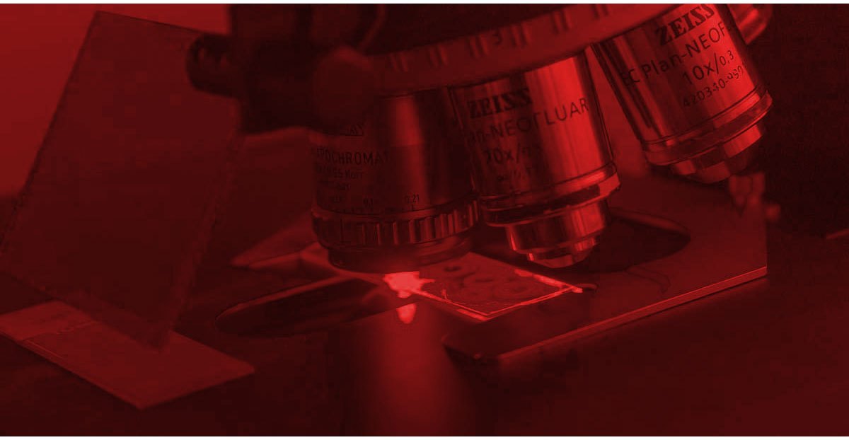 Máster Universitario en Investigación Biomédica