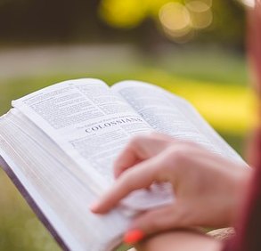 Máster Universitario en Psicopedagogía