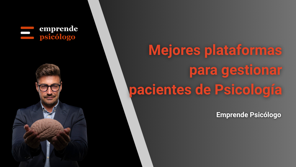 Las 12 mejores plataformas para gestionar pacientes de Psicología